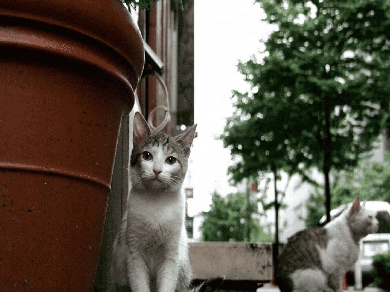 长春都说试管是怪胎（襄阳试管交流群）