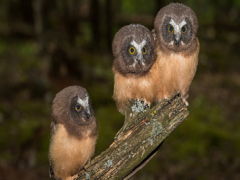 <strong>试管9周腹痛（上海长江医院费用贵吗）</strong>