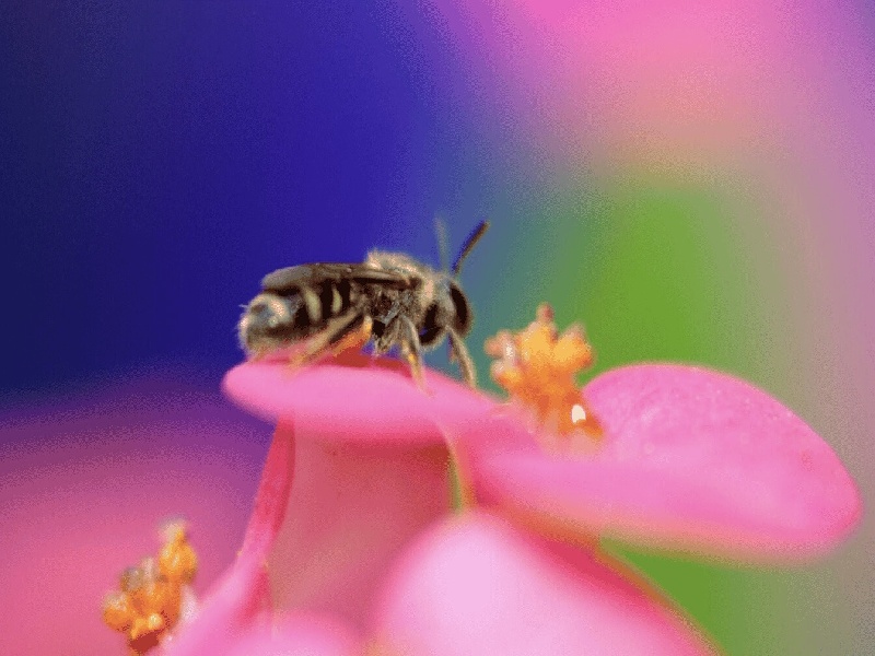 试管婴儿10岁（照影检查费用）